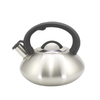 IT-CP1041 الماء الساخن OEM مخصص غلاية اقتصادية صفير غلاية غلاية شاي